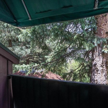Manitou Lodge 11 By Alpine Lodging Telluride Εξωτερικό φωτογραφία